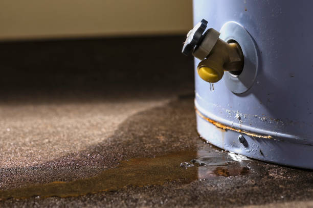Carpet water damage restoration in Fairmont, MN