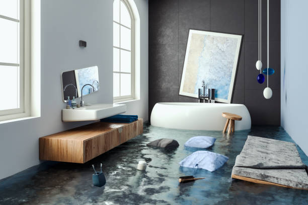 Best Water damage restoration near me  in Fairmont, MN