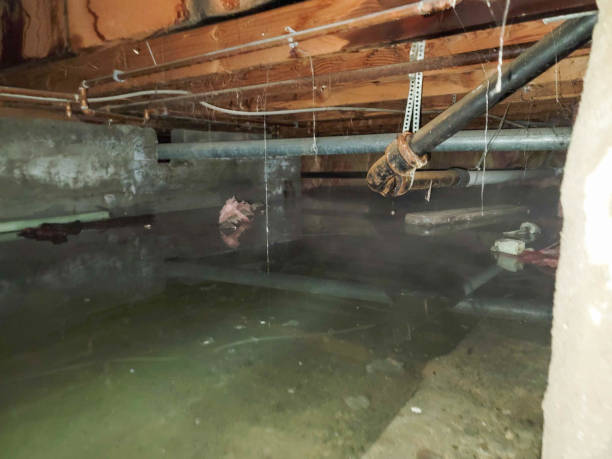 Best Water damage cleanup near me  in Fairmont, MN
