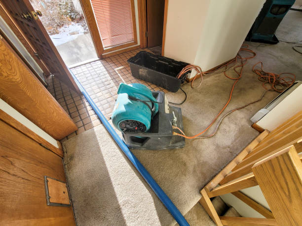 Best Residential water damage restoration  in Fairmont, MN