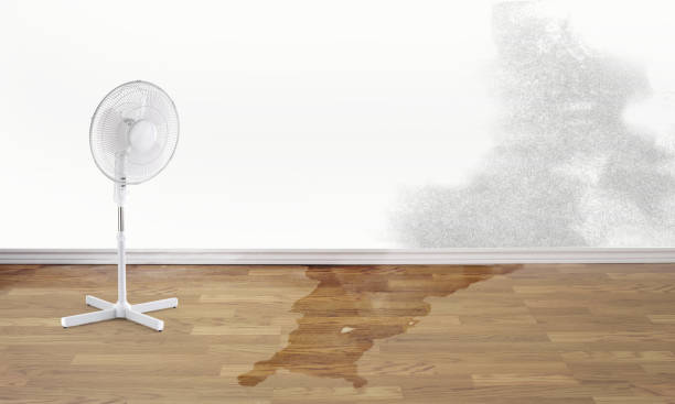 Best Sewage cleanup and water damage restoration  in Fairmont, MN