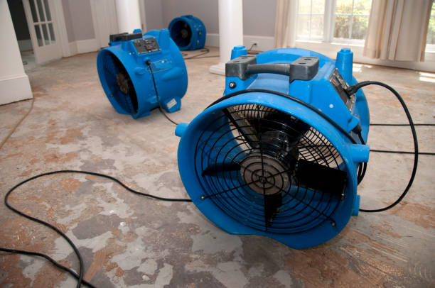 Best 24/7 water damage repair  in Fairmont, MN