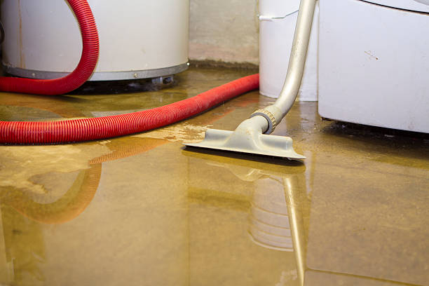 Best Carpet water damage restoration  in Fairmont, MN