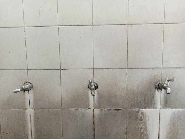 Best Commercial water damage restoration  in Fairmont, MN