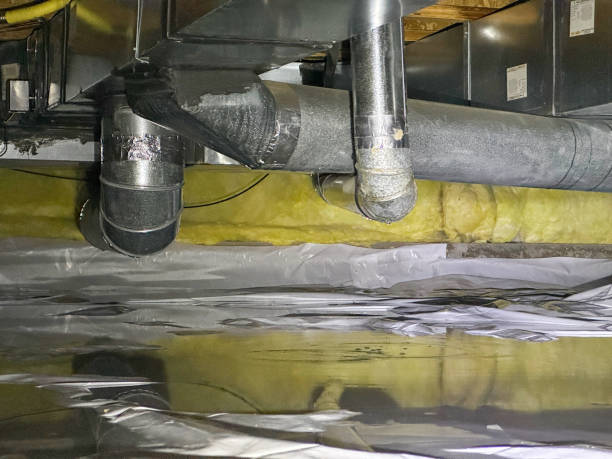 Best Carpet water damage restoration  in Fairmont, MN