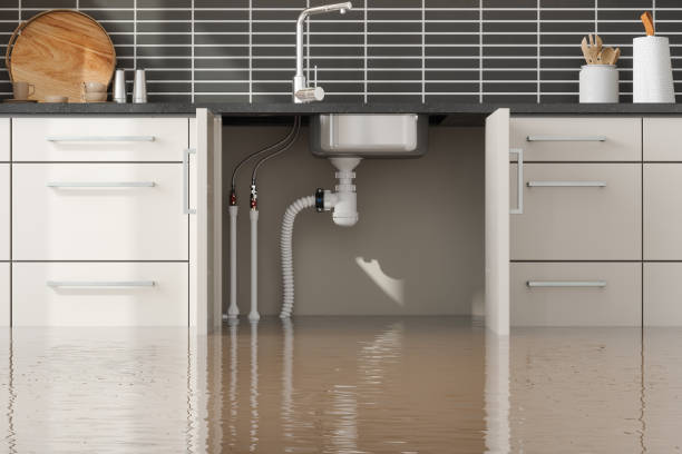 Best Water damage restoration cost  in Fairmont, MN