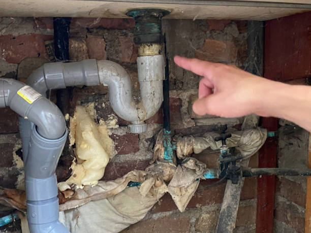 Best Water damage cleanup near me  in Fairmont, MN