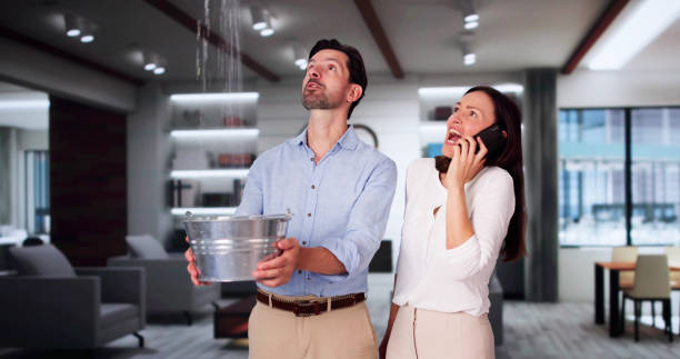 Best Water damage restoration services  in Fairmont, MN