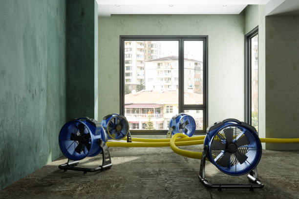 Best Fire Damage Restoration  in Fairmont, MN