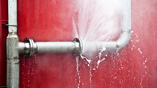 Best Mold removal after water damage  in Fairmont, MN