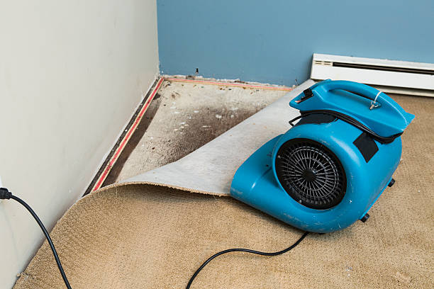  Fairmont, MN Water damage restoration Pros