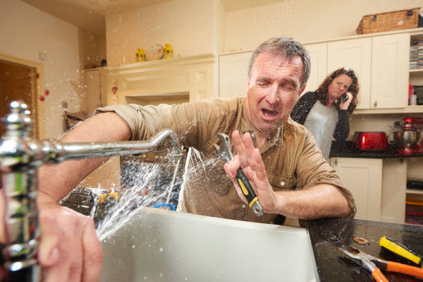 Best Ceiling water damage repair  in Fairmont, MN